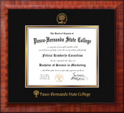 Image of Pasco-Hernando State College Diploma Frame - Mezzo Gloss - w/Embossed PHSC Seal & Name - Black on Gold mat