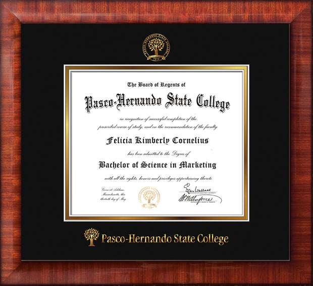 Image of Pasco-Hernando State College Diploma Frame - Mezzo Gloss - w/Embossed PHSC Seal & Name - Black on Gold mat