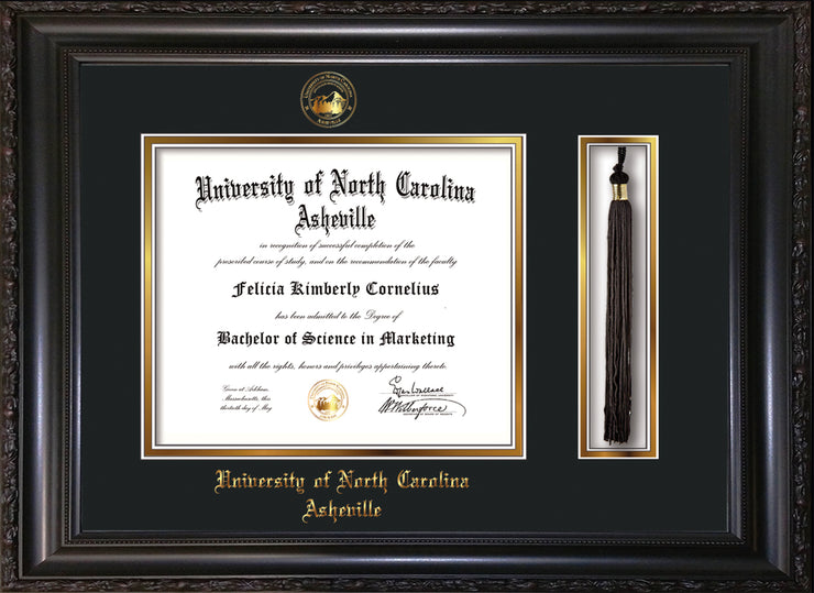 Image of University of North Carolina Asheville Diploma Frame - Vintage Black Scoop - w/Embossed UNCA Seal & Name - Tassel Holder - Black on Gold mat