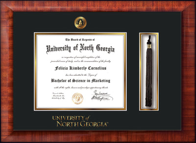 Image of University of North Georgia Diploma Frame - Mezzo Gloss - w/Embossed UNG Seal & Wordmark - Tassel Holder - Black on Gold mat
