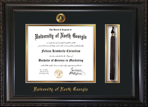 Image of University of North Georgia Diploma Frame - Vintage Black Scoop - w/Embossed UNG Seal & Name - Tassel Holder - Black on Gold mat