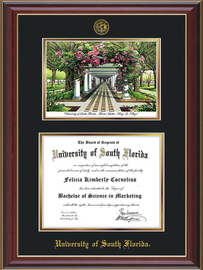 Image of University of South Florida Diploma Frame - Cherry Lacquer - w/Embossed USF Seal & Name - Watercolor - Black on Gold mat