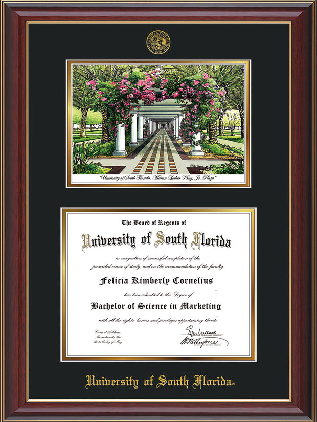 Image of University of South Florida Diploma Frame - Cherry Lacquer - w/Embossed USF Seal & Name - Watercolor - Black on Gold mat