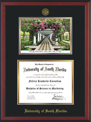 Image of University of South Florida Diploma Frame - Cherry Reverse - w/Embossed USF Seal & Name - Watercolor - Black on Gold mat