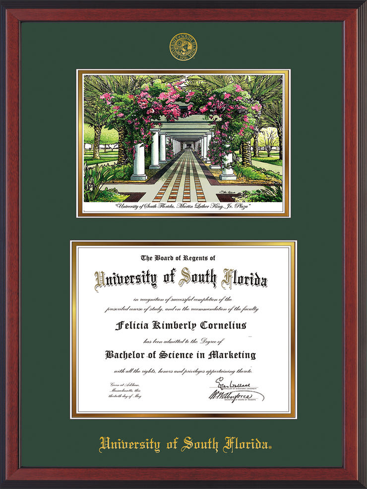 Image of University of South Florida Diploma Frame - Cherry Reverse - w/Embossed USF Seal & Name - Watercolor - Green on Gold mat