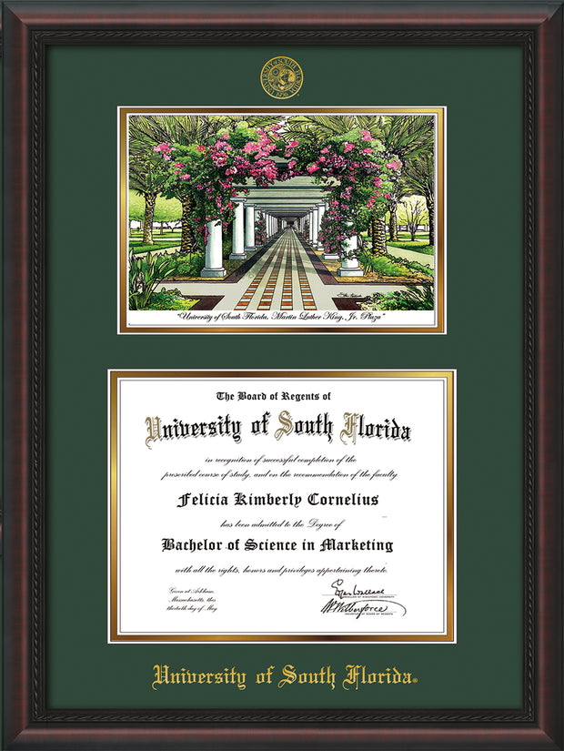 Image of University of South Florida Diploma Frame - Mahogany Braid - w/Embossed USF Seal & Name - Watercolor - Green on Gold mat