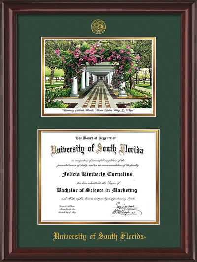 Image of University of South Florida Diploma Frame - Mahogany Lacquer - w/Embossed USF Seal & Name - Watercolor - Green on Gold mat