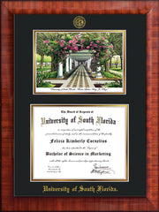 Image of University of South Florida Diploma Frame - Mezzo Gloss - w/Embossed USF Seal & Name - Watercolor - Black on Gold mat