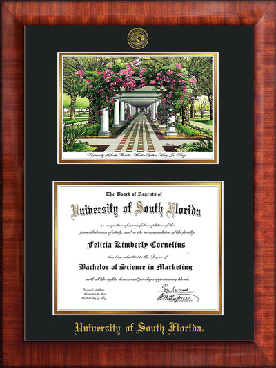 Image of University of South Florida Diploma Frame - Mezzo Gloss - w/Embossed USF Seal & Name - Watercolor - Black on Gold mat