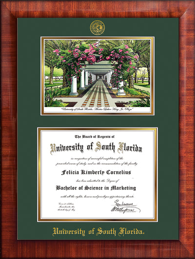 Image of University of South Florida Diploma Frame - Mezzo Gloss - w/Embossed USF Seal & Name - Watercolor - Green on Gold mat