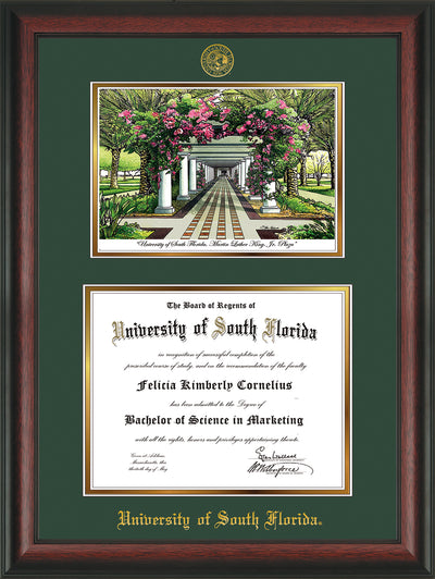 Image of University of South Florida Diploma Frame - Rosewood - w/Embossed USF Seal & Name - Watercolor - Green on Gold mat