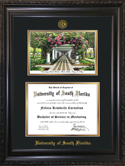 Image of University of South Florida Diploma Frame - Vintage Black Scoop - w/Embossed USF Seal & Name - Watercolor - Black on Gold mat