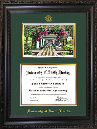 Image of University of South Florida Diploma Frame - Vintage Black Scoop - w/Embossed USF Seal & Name - Watercolor - Green on Gold mat