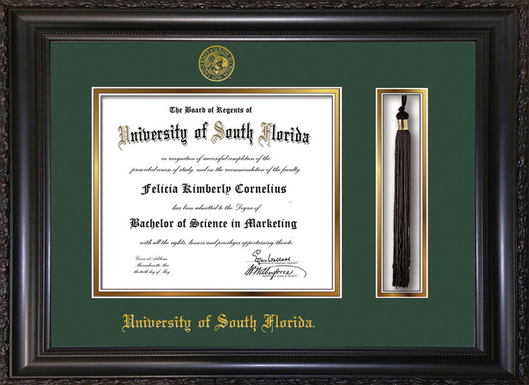 Image of University of South Florida Diploma Frame - Vintage Black Scoop - w/Embossed USF Seal & Name - Tassel Holder - Green on Gold mat